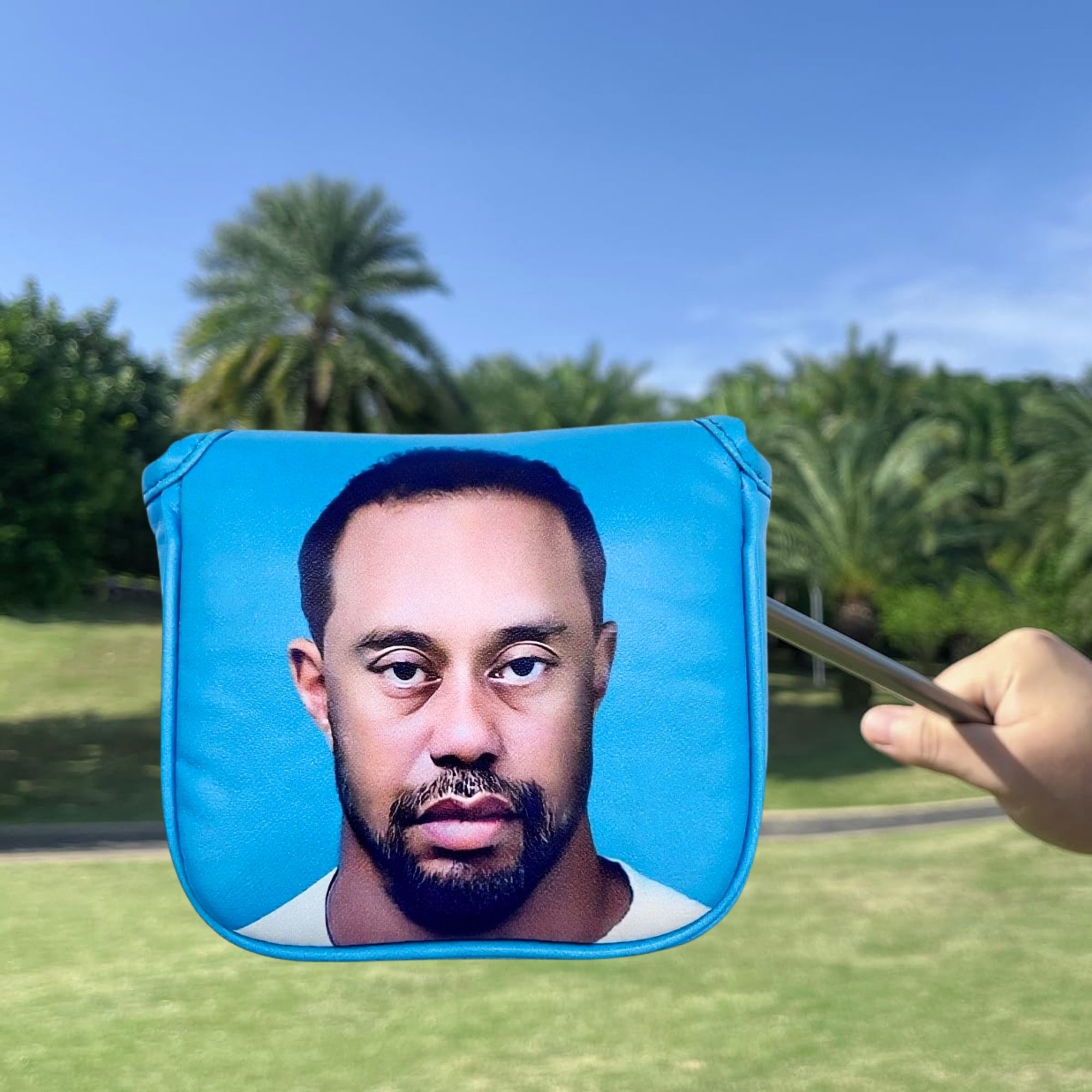 Funny Golf Mallet Putter Head  - đánh giá và giá Golf Putter